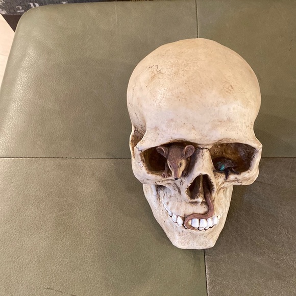 Other - Skull Piggy Bank